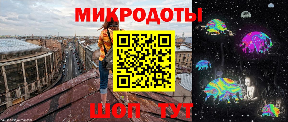 Псилоцибиновые грибы Psilocybine cubensis Тула