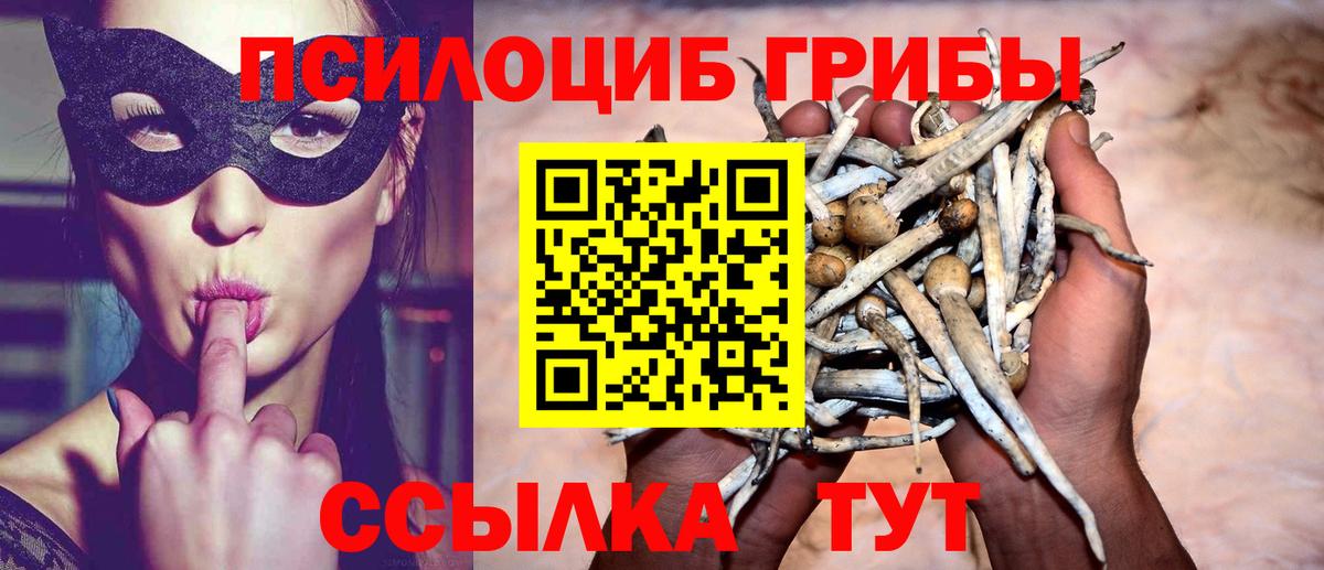 Галлюциногенные грибы Psilocybe  Вход с VPN  Псилоцибиновые грибы Cubensis  Тула 